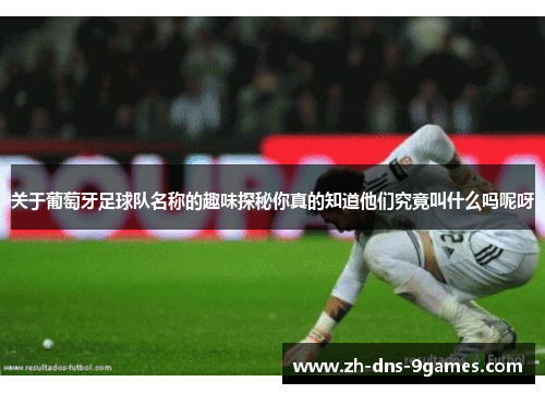 关于葡萄牙足球队名称的趣味探秘你真的知道他们究竟叫什么吗呢呀