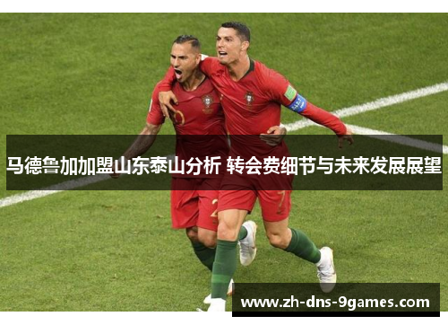 马德鲁加加盟山东泰山分析 转会费细节与未来发展展望